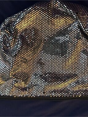 Kent Stetson designer sequined bag with chain. Wear over the shoulder or   wrist